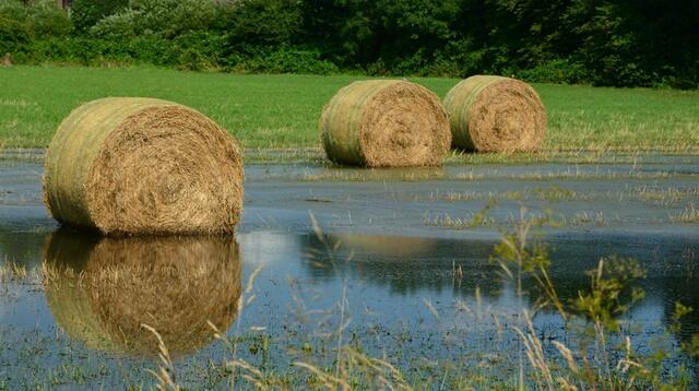 Unter wasser. July 2014.