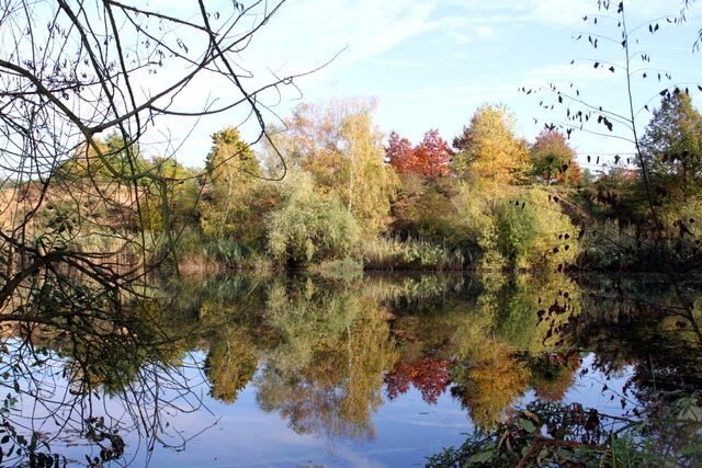 Wasserspiegelung der Herbstfarben