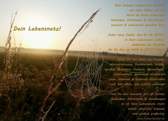 Dein Lebensnetz