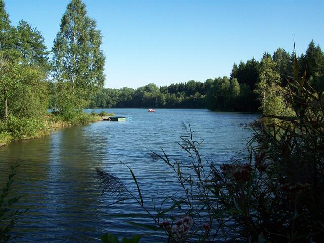 September: Bruchsee bei Duingen / Alfeld (2)