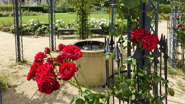 Der Rosenpavillon mit einer kleinen Brunnenanlage (Foto: Helmut Kuzina)
