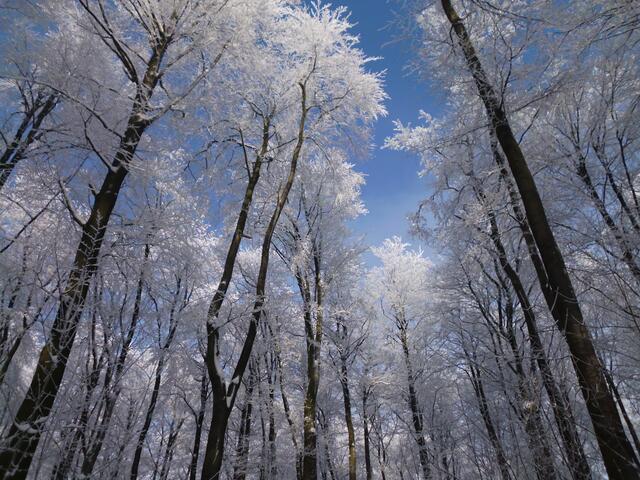 Winterspaziergang