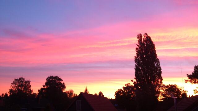 Morgensonne in Langenhagen