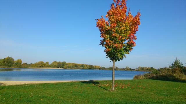 September in Isernhagen