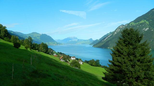 Blick aus der Bahn auf den Vierwaldstättersee in Richtung Luzern