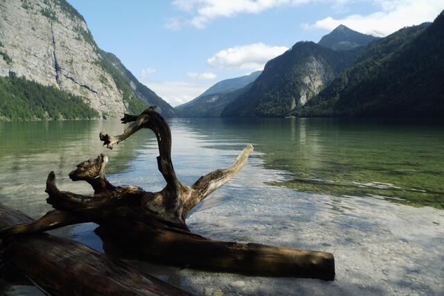 Sommer am Königsee
