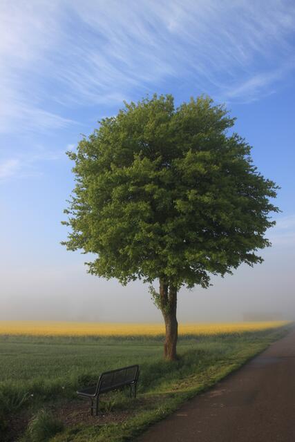 Ruhepause im Frühling