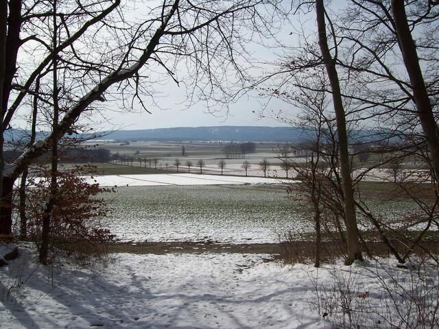 Februar: Hallerburger Holz zwischen Gestorf und Eldagsen