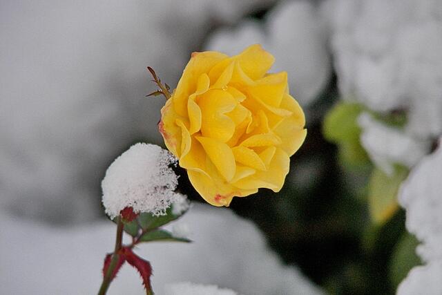 Und plötzlich ist es Winter
