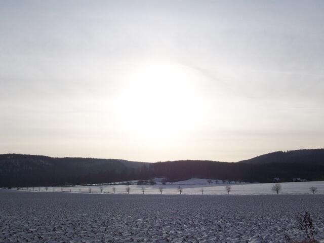 Dezember in der Eldagser Feldmark (Blick zum Duckstein)