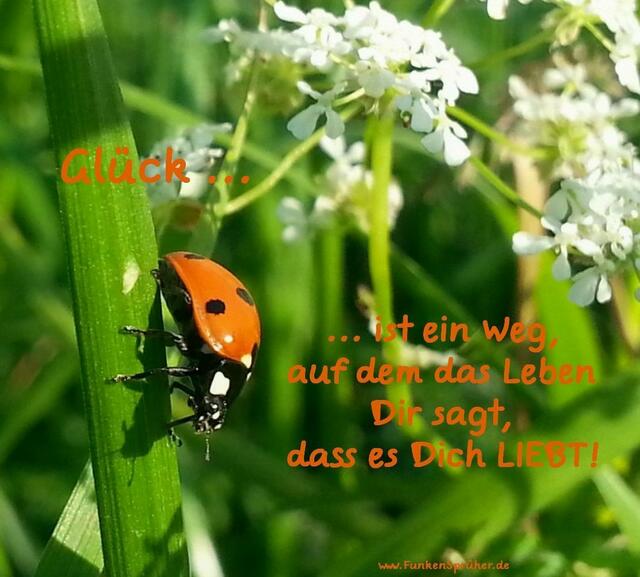 Glück!