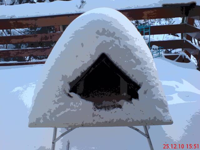 Vogelhäuschen im Winter