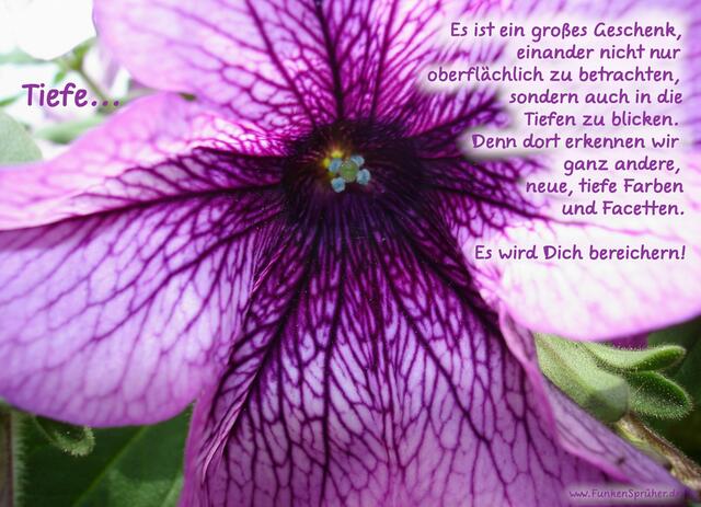 in die Tiefe blicken
