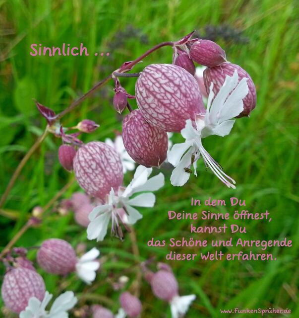 Sinnlich!
