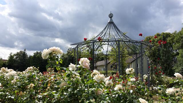 Rosenpavillon im Magdalenengarten (Foto: Helmut Kuzina)