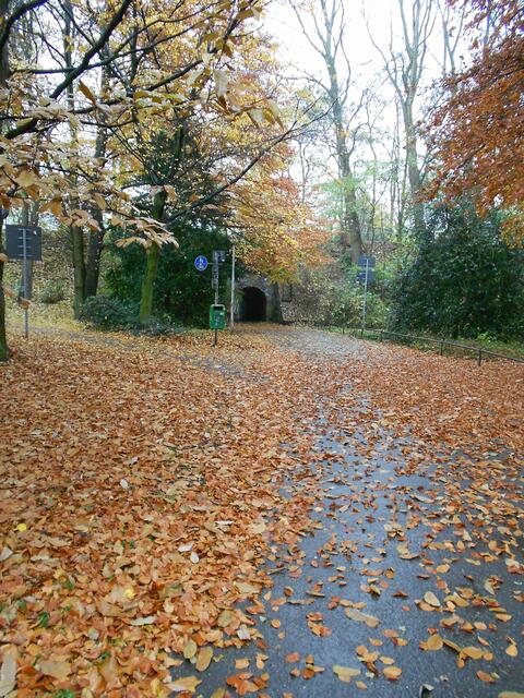 Bald ist wieder Herbst