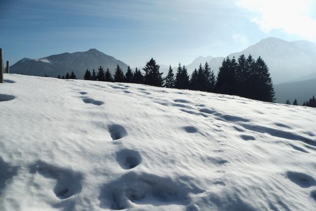 Winterwanderung am Tegernsee am Fuß des Fockenstein