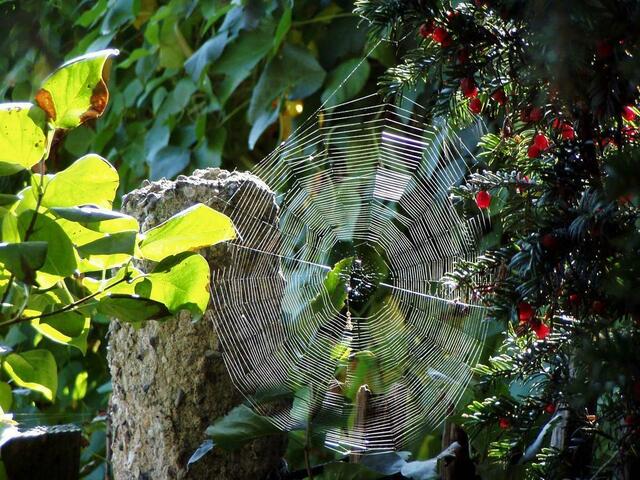 Herbst im Garten