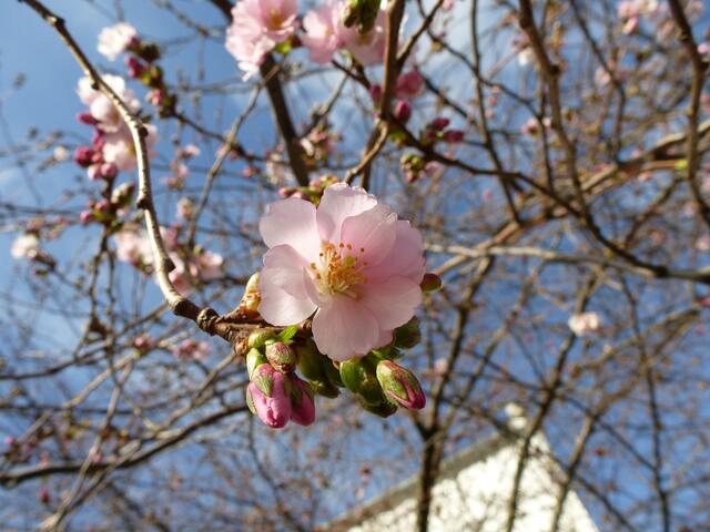 Februar: Es wird Frühling!