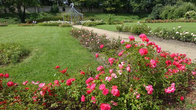 Im Magdalenengarten (Foto: Helmut Kuzina)