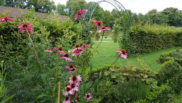 Auf der Ostseite entstanden drei Sondergärten als Neuanlage, hier der „Kräutergarten“. Foto: Helmut Kuzina
