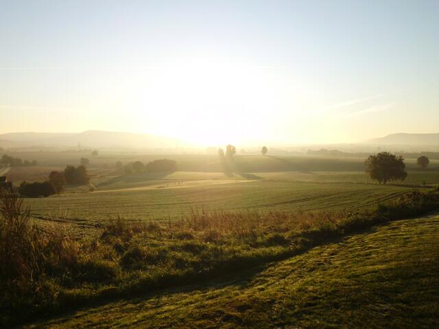 Frühmorgens über den Feldern