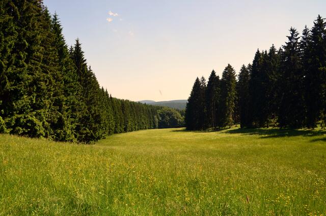 Natur pur!