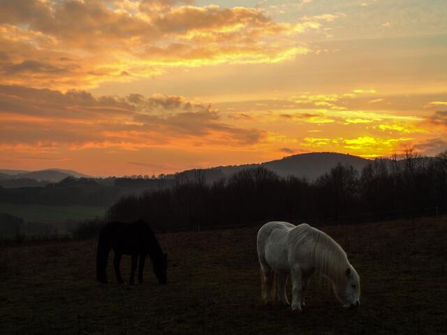 Sonnenuntergang im Februar