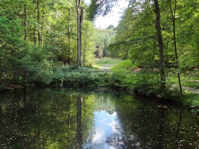 Der Spiegelteich bei Christenberg