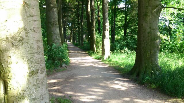 Ein schattiges Plätzchen im Sommer