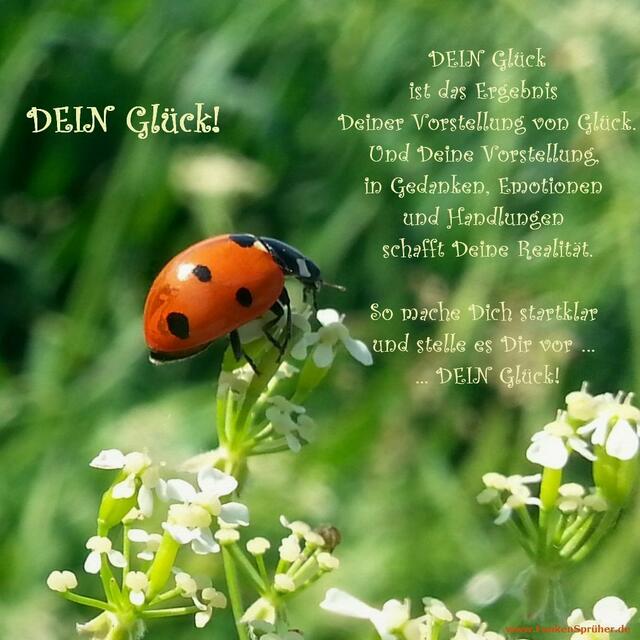 Dein Glück