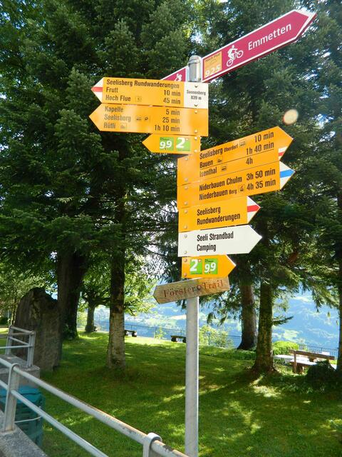 Ich nehme den Förstertrail