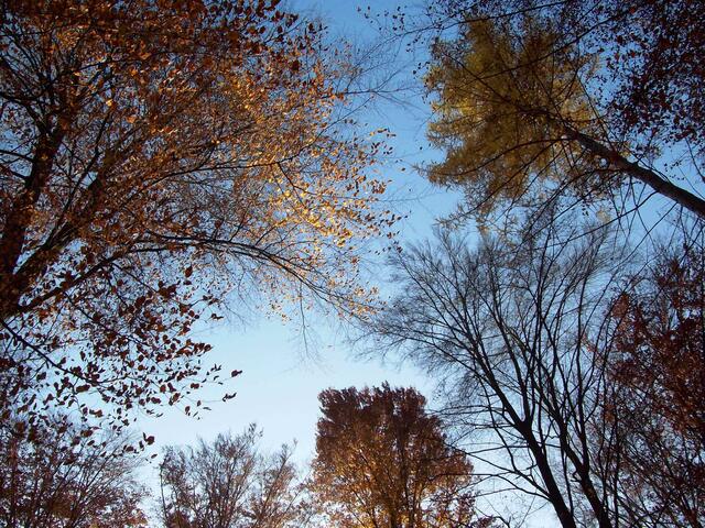 November: Am Süllberg bei Lüdersen