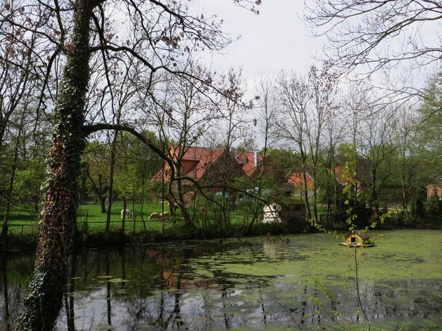 April: Dorfteich in Wittenburg bei Elze