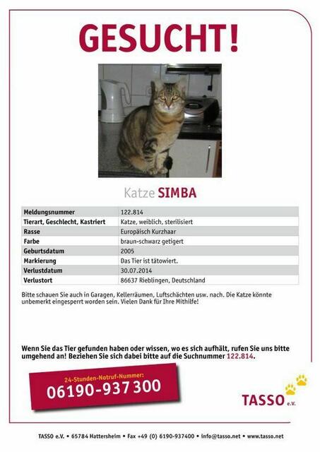 Simba - vermißt