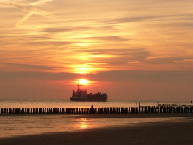Ein Schiff wird kommen