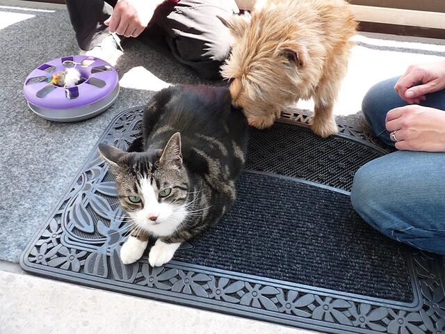 Leo und Toni