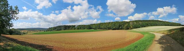 Der Süllberg von Bennigsen aus