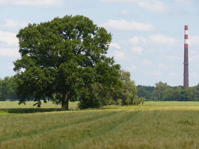 Der "Frielinger Leuchtturm"