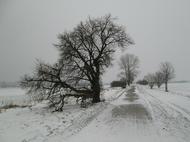 Winter auf dem Kronsberg in Hannover