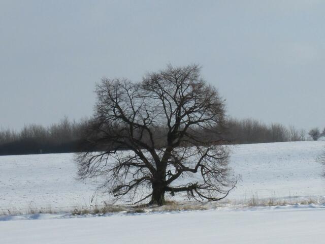 Januar