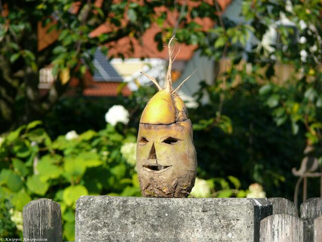 Herstgesichter