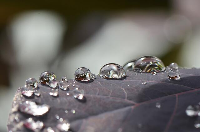 Wassertropfen