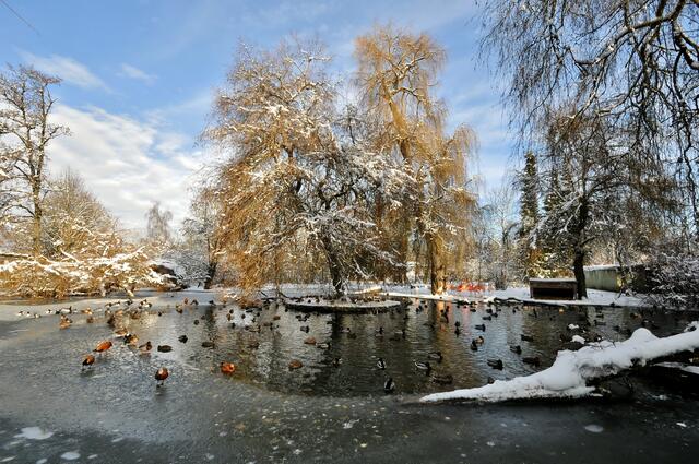 Winter im Zoo