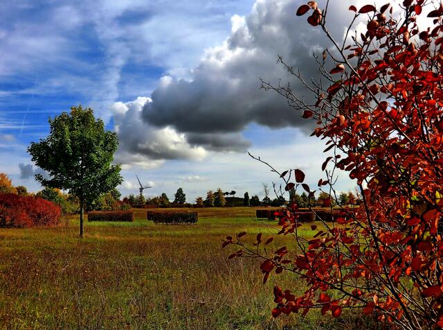 Herbst auf dem Kronsberg