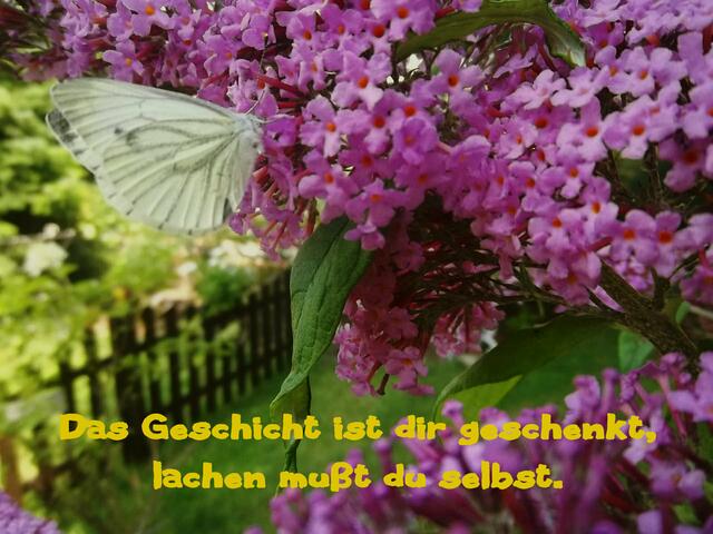 Ein Momend der immer bleibt