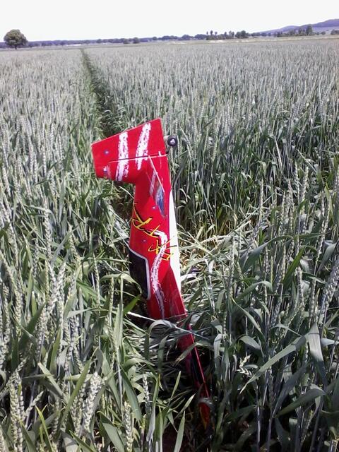 Modellfliegen im Mai 2014 beim MFG Barsinghausen e.V.