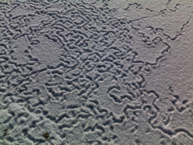 Spuren im Schnee