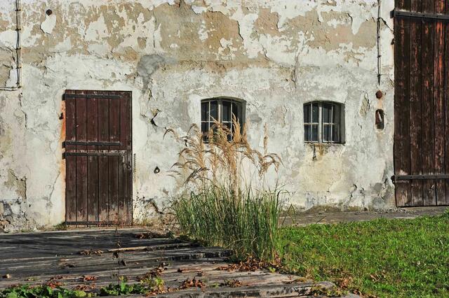 Vergänglichkeit (Novemberbild)