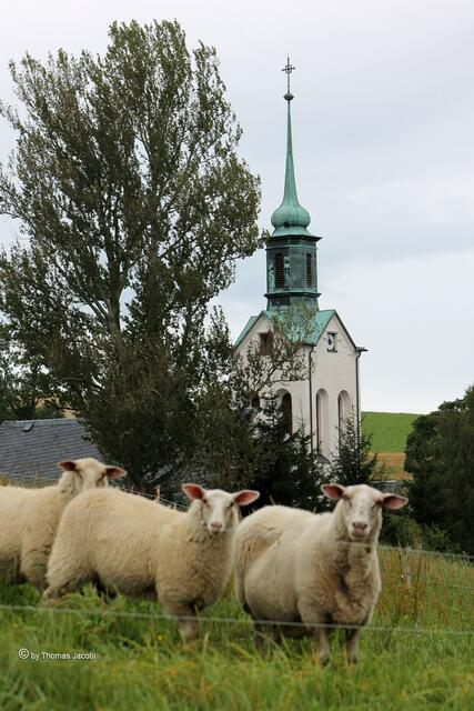 Eigentlich wollte ich nur die Kirche ablichten.